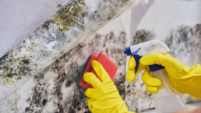Air Duct Mold Removal in Essex County, NJ