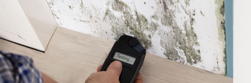 Apartment Mold Testing