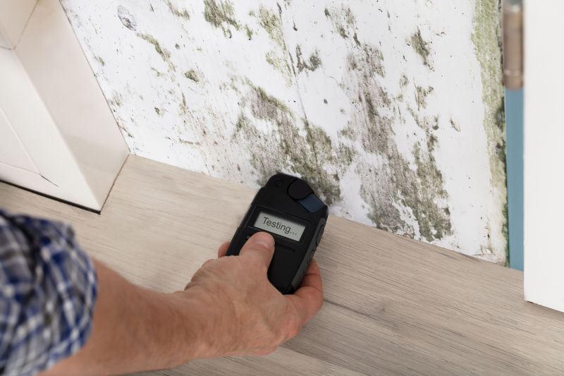 Apartment Mold Testing