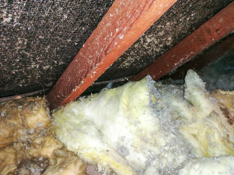 Asbestos Abatement in Morris County, NJ