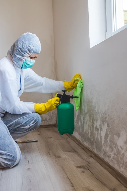 Mold Abatement Service