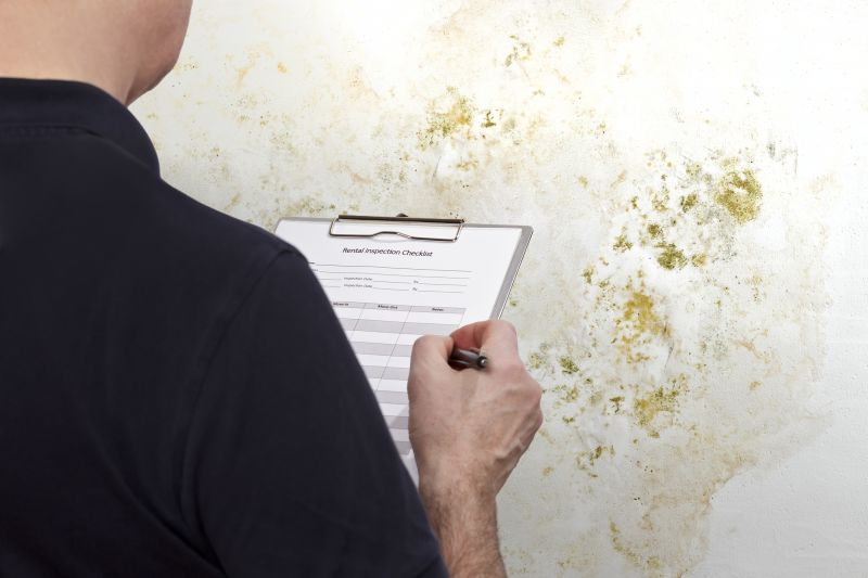 Mold Assessment Service