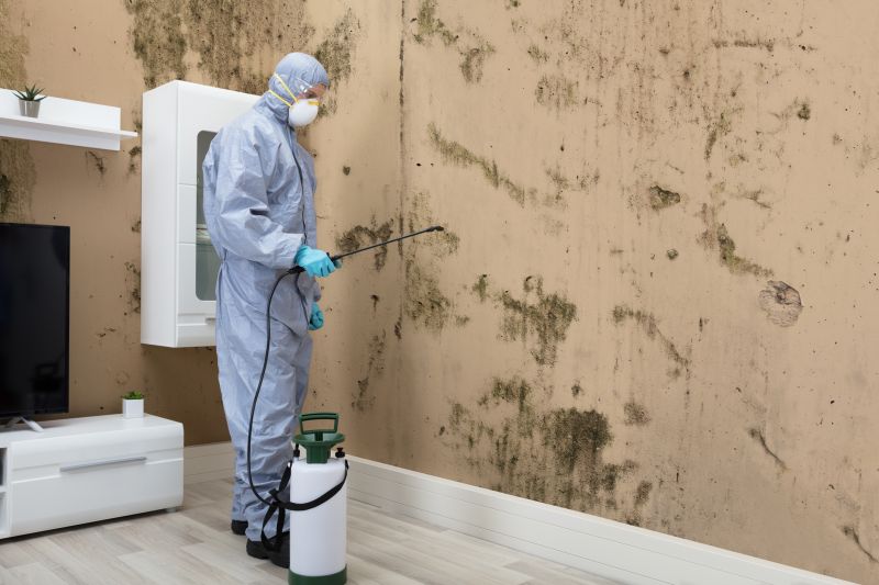 Mold Detection in Bergen County, NJ