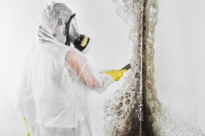 Mold Inspection And Removal in Delray Beach, FL