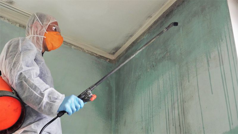Mold Mitigation Service in Essex County, NJ
